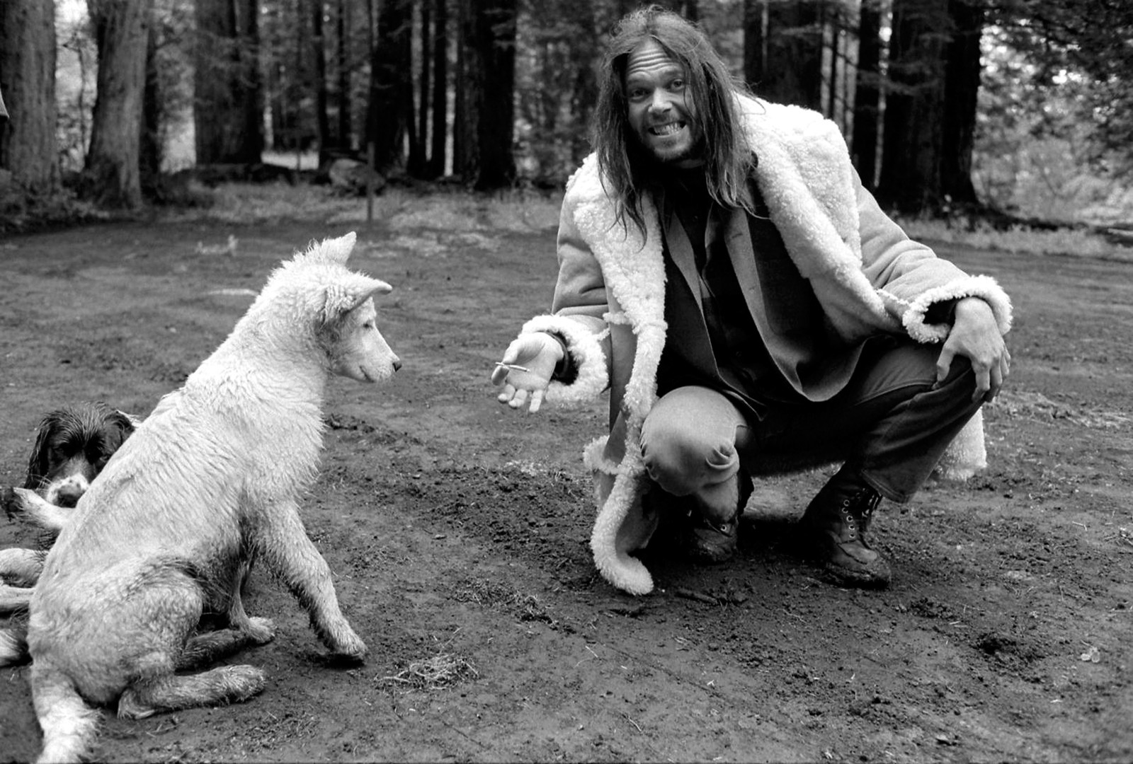Neil-Young, 1971,foto Henry Diltz